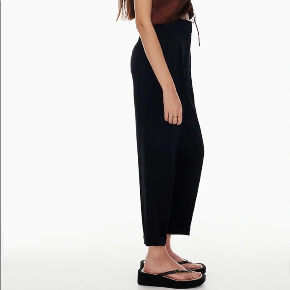 SOLD Aritzia Dashwood Pant - Picture 4 of 12